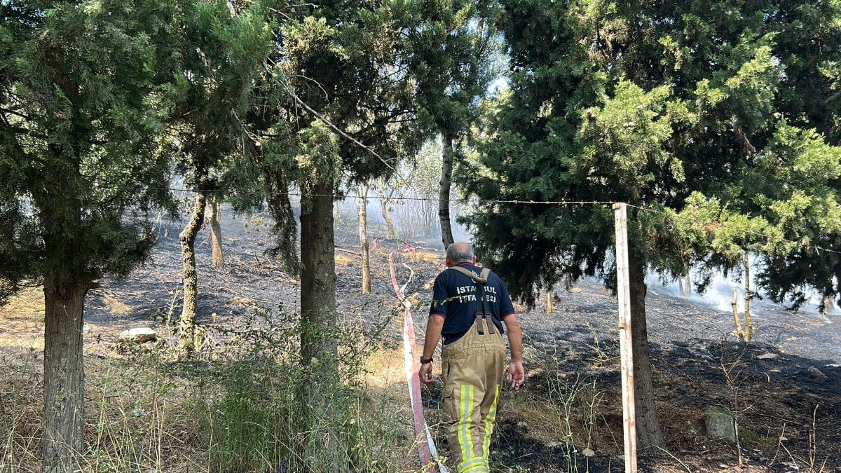 İstanbul’da otluk alanda çıkan yangın ormana sıçradı