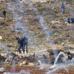 filistinlilerin evlerine ates acip tarlalarini yaktilar 5fcckmUc