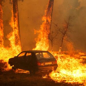 portekizde ormanlar yaniyor 1 kisi hayatini kaybetti jpQtO5bM
