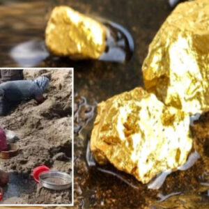 sular cekildi pariltilar ortaya cikti altini duyan herkes didik didik etti 4VOfxOBn