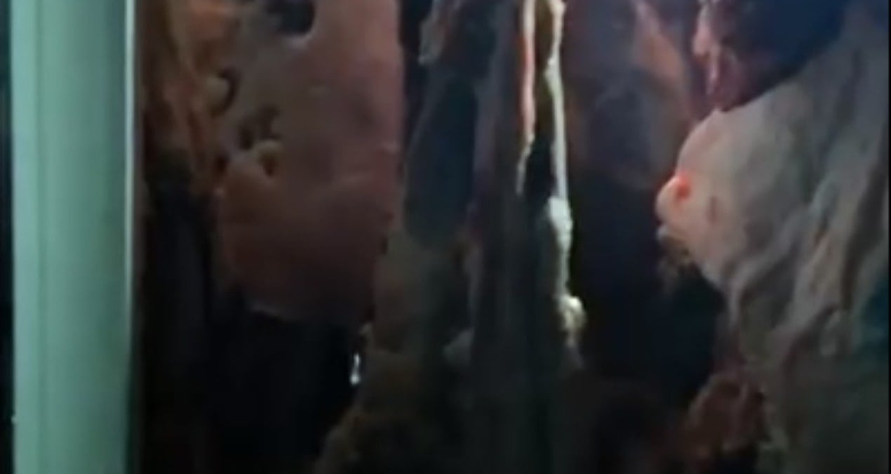 bir sehrin konustugu skandal yakalanmasa aksam sofralarimiza gelecekti RTZwss14