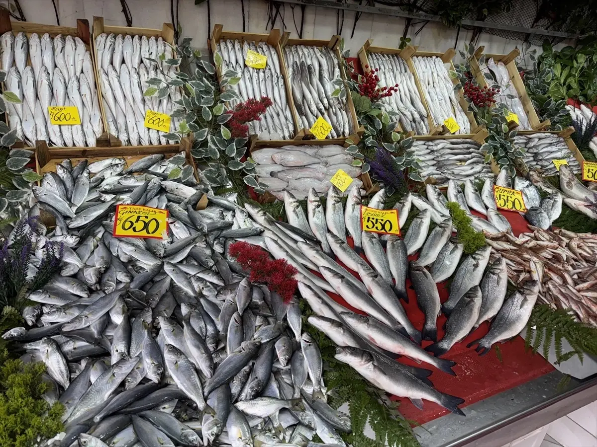 edirnede hamsi fiyati 300 tl xiWE1YI9.jpg