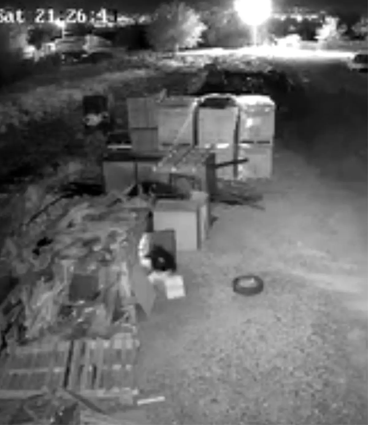 elazigda guvercin hirsizligi guvenlik kamerasinda KQOYZnUp.jpg