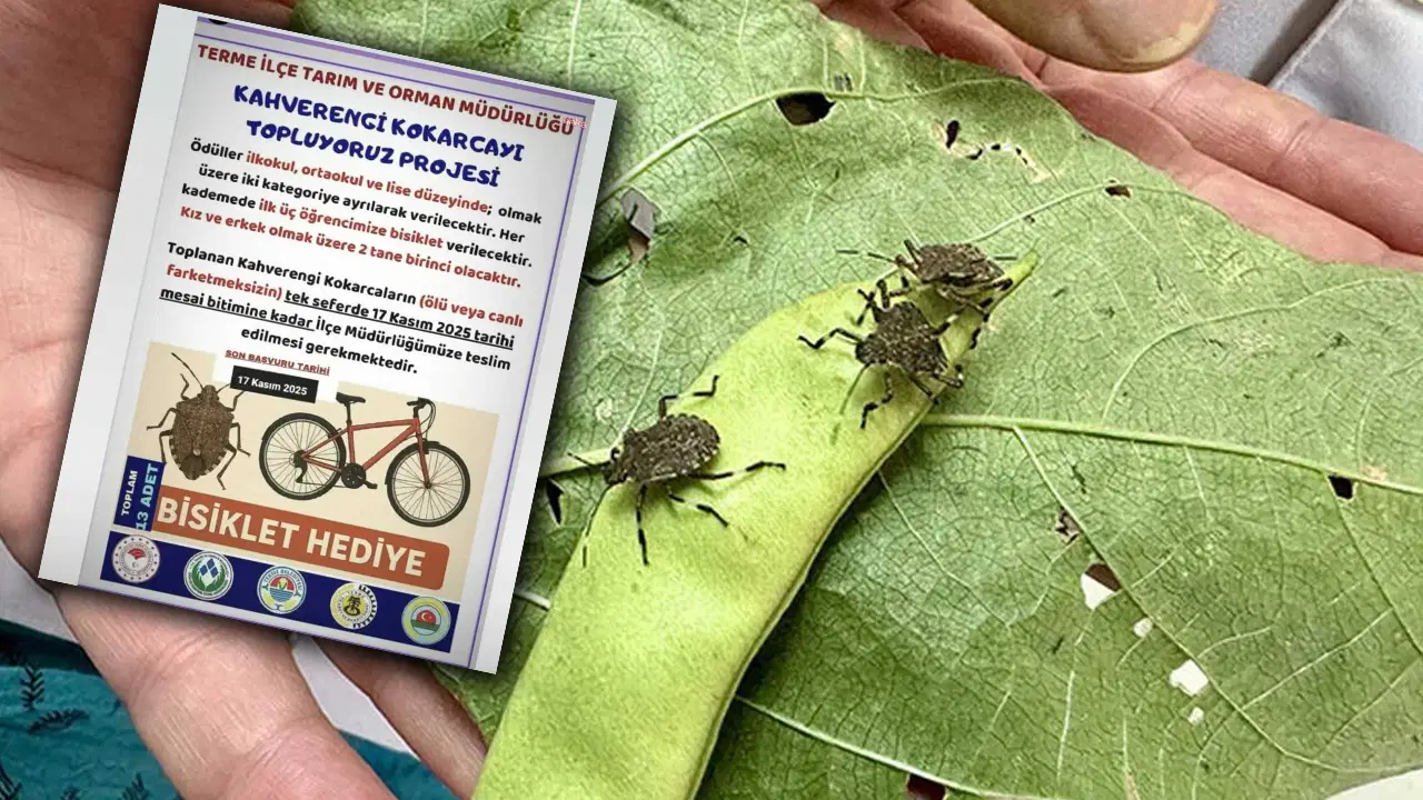 kokarca toplama projesine chpden tepki bilimle mucadele edecegimize cocuklari kullaniyoruz kbfuqjw9.jpg