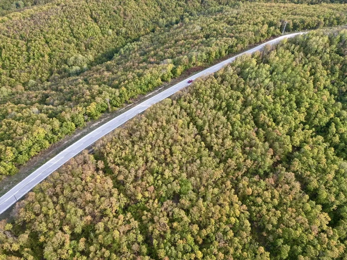 sonbahar renkleri sarayda XAF5V6jA.jpg