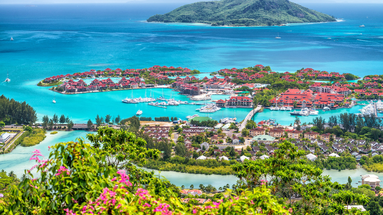 Chikungunya alarmı: Tropik cennetlere gidenleri bu kez Güneş değil, virüs bekliyor