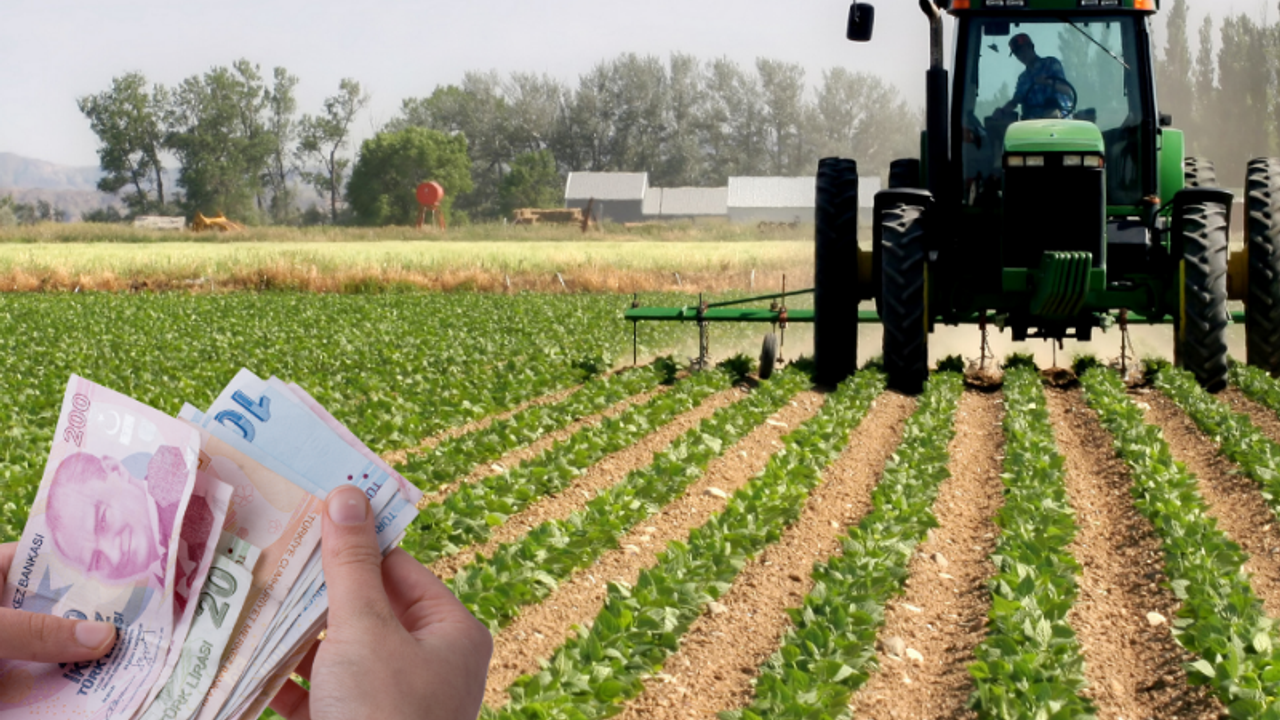 Ege Bölgesi’nin tarım ürünleri ihracatı 7,5 milyar dolara ulaştı