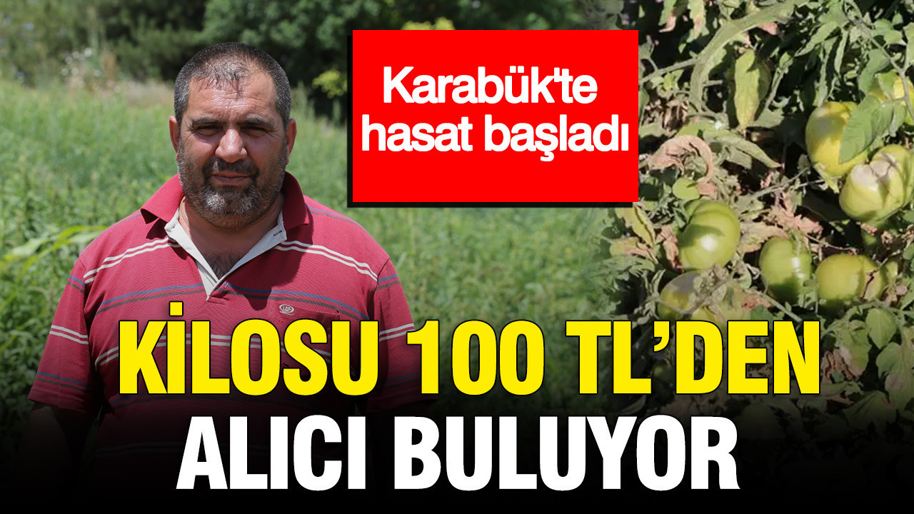 Karabük’te hasat başladı: Kilosu 100 TL’den alıcı buluyor Haber gorseli